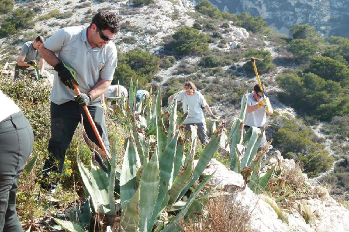 Especies exóticas invasoras: el eslabón débil en los proyectos que se autodenominan "ecológicos". 