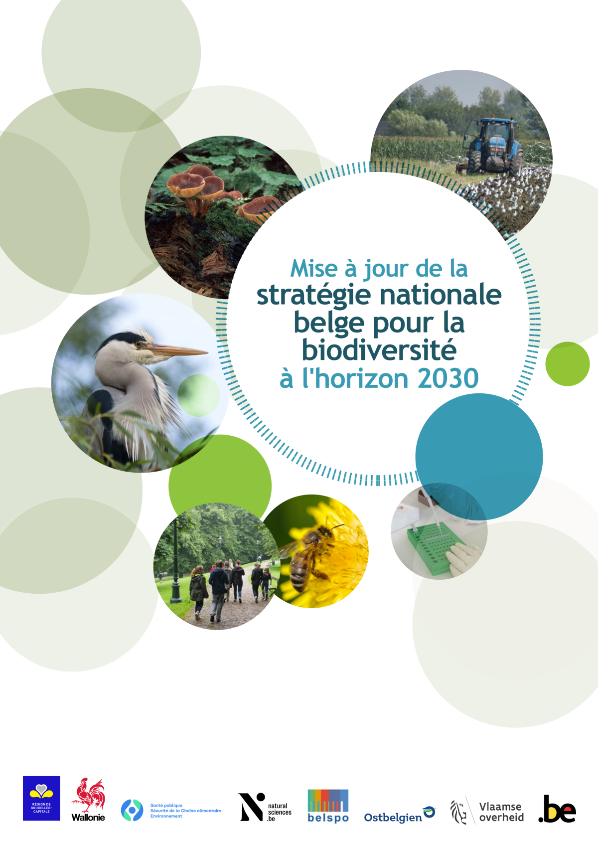 Finanzas sostenibles y biodiversidad: la estrategia belga 2030 confirma la necesidad de un marco de evidencia 