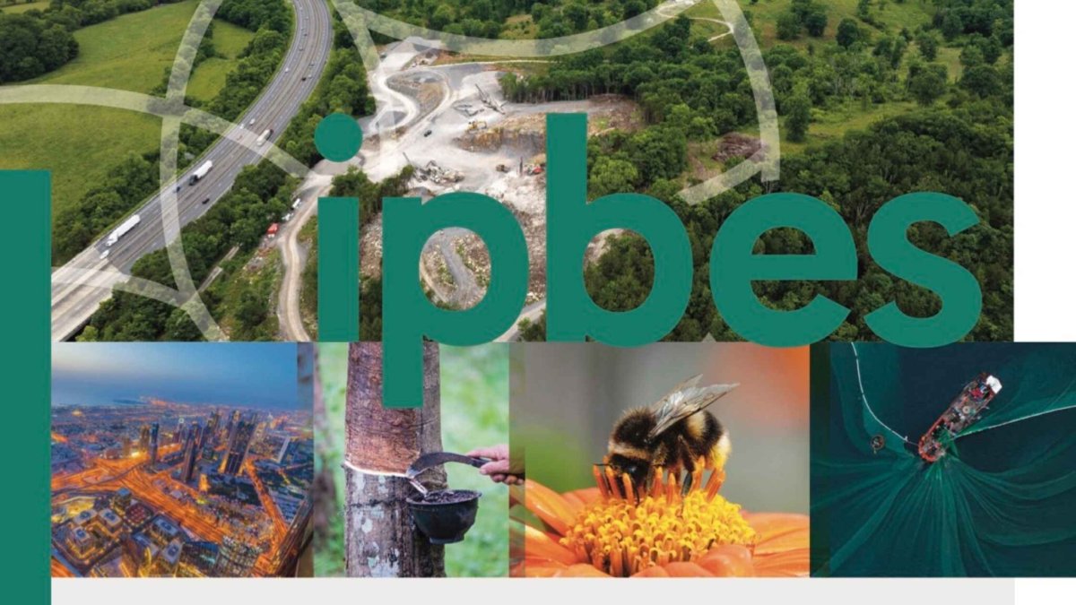 IPBES 2026 - Biodiversidad, contabilidad ecológica y desempeño empresarial 
