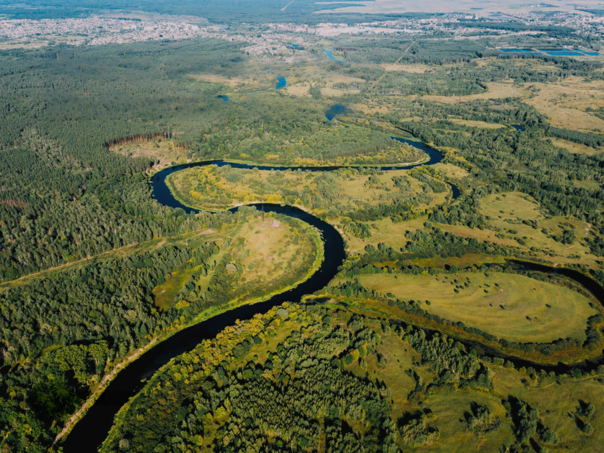 ¿Por qué una métrica de biodiversidad no constituye una prueba ambiental? 
