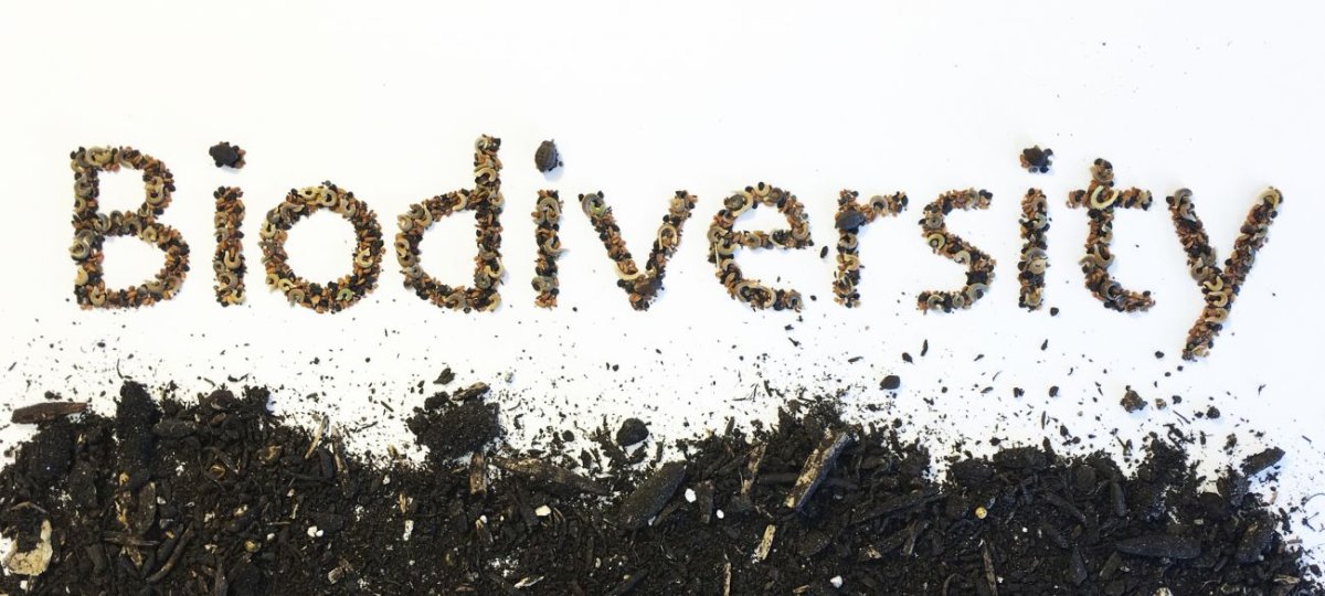 Hacia una contabilidad ecológica integrada: midiendo el desempeño real de los organismos vivos 