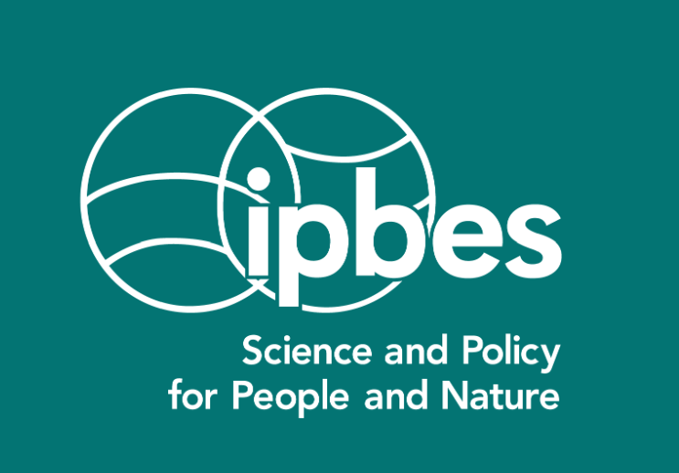 IPBES 2026: Hacia una contabilidad global de la naturaleza, IRICE y Effinature ya en marcha 