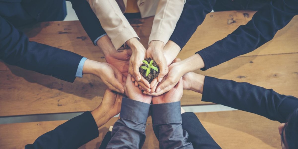 Colectivos ecológicos y certificación: dos palancas complementarias para la transición